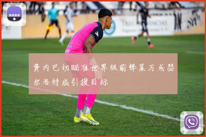 费内巴切瞄准世界级前锋莱万或瑟尔洛特成引援目标