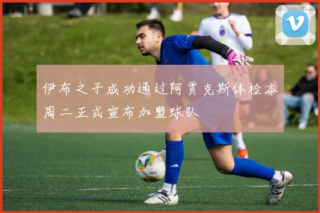 伊布之子成功通过阿贾克斯体检本周二正式宣布加盟球队