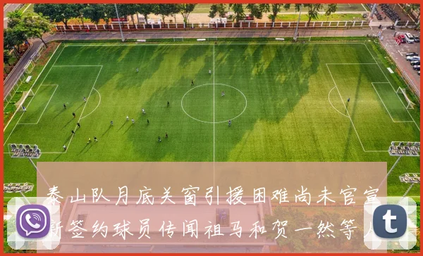 泰山队月底关窗引援困难尚未官宣新签约球员传闻祖马和贺一然等人