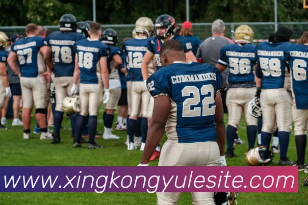 星空娱乐平台生态图