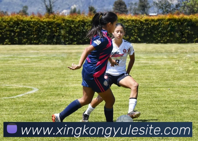 数据防护可视化